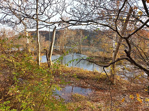 Autumn leaves along the Chesapeake & Ohio Towpath in Maryland. Also pictured is the Potomac River.