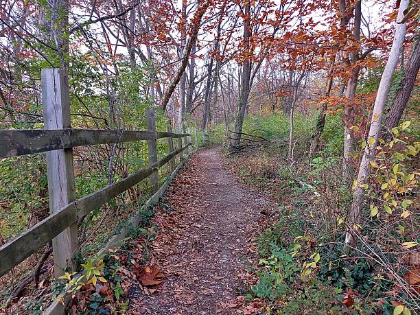 istock Chesapeake & Ohio Trail - Autumn Leaves #17 2247053174