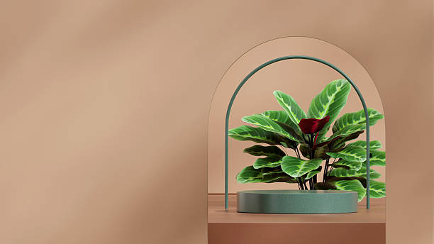 istock arch backdrop, 3d render scene mockup brown color curved cylinder in landscape 2247054293