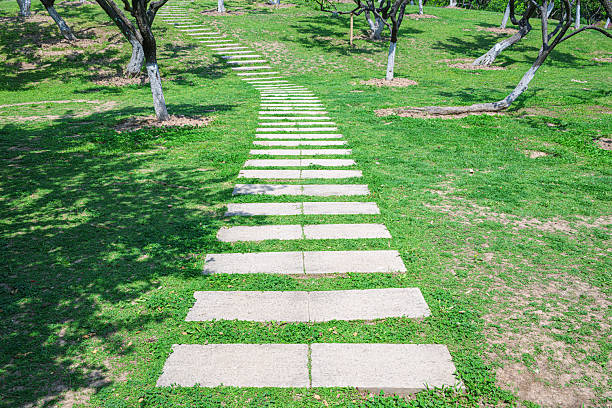 Stepping stone pathway on green lawn in the garden