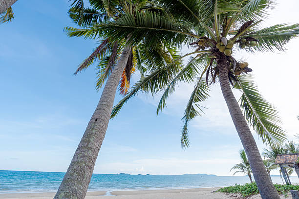 istock Beautiful sea summer ,Sand beach background 2247058332