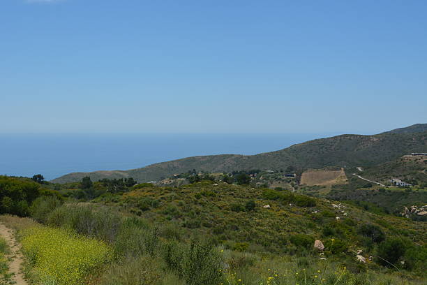 istock Scenic Hillside View Showcasing Lush Greenery and a Serene Ocean Backdrop on a Bright Sunny Day 2247059403