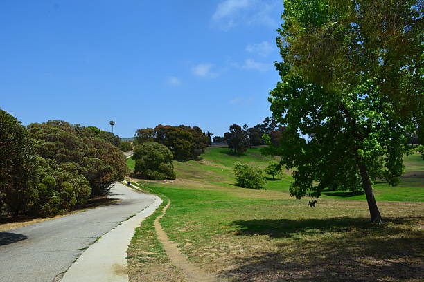 istock Sunny Afternoon Stroll Through a Lush Green Park With Winding Paths and Gentle Hills 2247059695