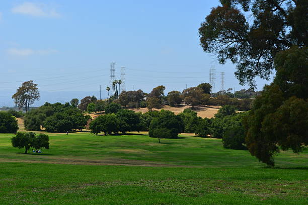 istock Wide Open Green Space With Scattered Trees and Power Lines Under a Clear Blue Sky on a Sunny Day 2247059851