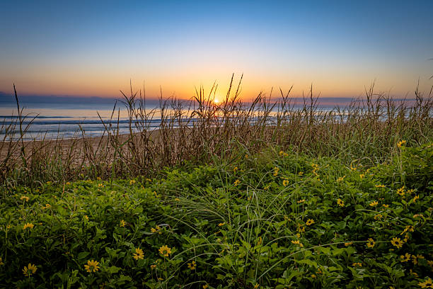 istock Sunrise over a Florida beach park 2247063252
