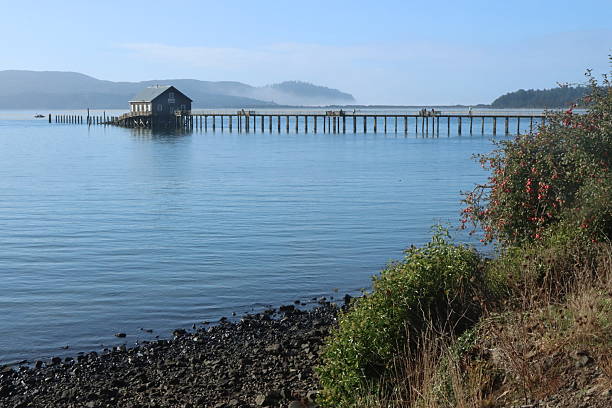 istock Very Long Dock Near Garibaldi, Oregon 2247063613