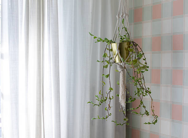 istock Hanging Plant in Macrame Pot by Window with Pastel Tiles for Bright Indoor Decor 2247064993