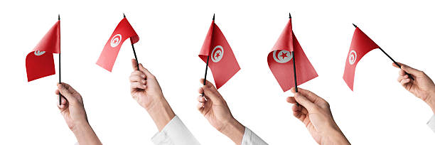 The Tunisia flag in hand in different angles on a white background.