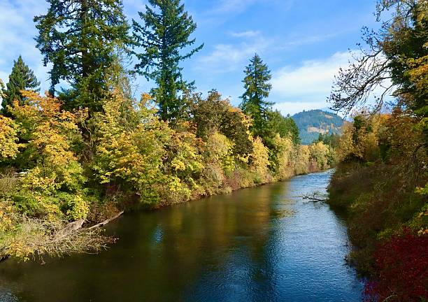 Fall colors along the Mosby Creek in Central Oregon