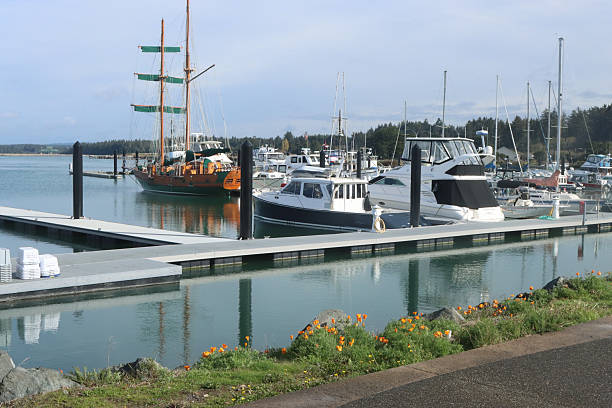 istock Boat Harbor In Bandon, Oregon With One Schooner 2247067798