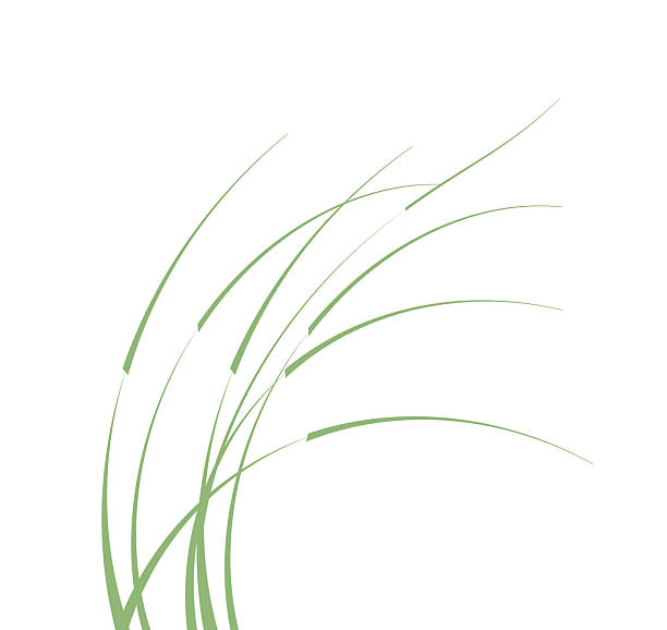 Flowing tall grass line art