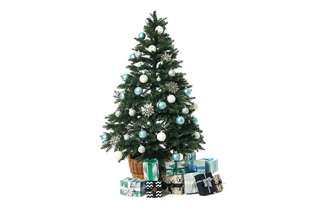 istock Beautiful Christmas tree, isolated on white background 2247069460