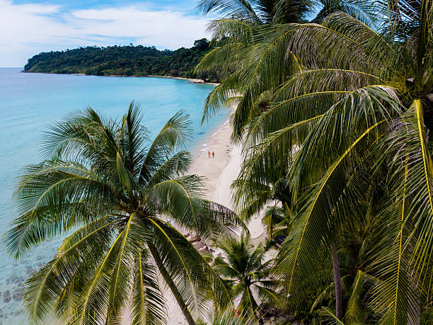 istock Stunning beachfront view on Koh Kood Island in Thailand with gentle waves lapping shore 2247081219