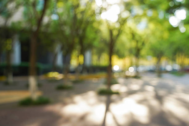 istock Blurry View of Office Building Green Zone with Sunlight and Trees 2247083778