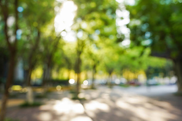 istock Blurry View of Office Building Green Zone with Sunlight and Trees 2247083791
