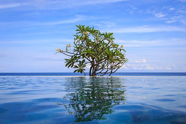 Indonesia Travel