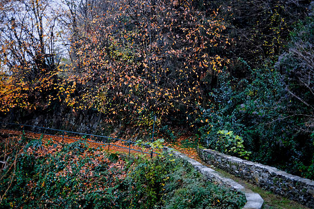 A quiet stone alleyway in a small mountain village above Verbania, Italy, captured at twilight after a rainfall. Warm lamplight reflects on the wet cobblestones, highlighting the aged stone walls, shuttered windows and narrow passageways typical of traditional Alpine settlements. The serene, moody atmosphere evokes the charm and timeless character of rural Italian architecture. Suitable for themes of travel, European heritage, rustic landscapes, and atmospheric street scenes.