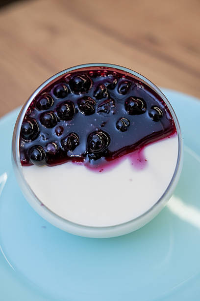 Homemade Blueberry Panna Cotta Dessert