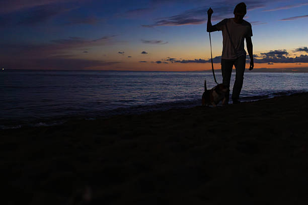 adult man, seen in silhouette, walking his domestic dog on a sandy beach at the ocean's edge, enjoying a quiet moment during the vibrant twilight sky