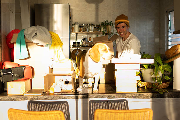 istock Man, beagle dog packing boxes for new house 2247086907