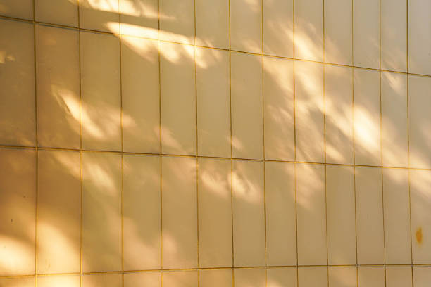 flickering tree shadows on temple wall, abstract background of zen, buddhist mood