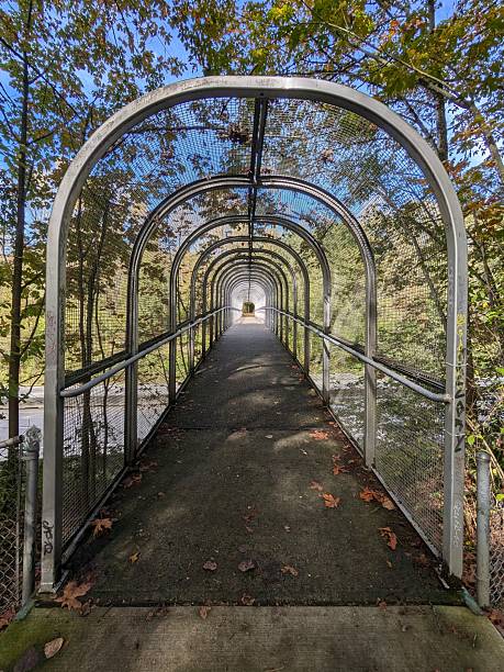 istock Pedestrian bridge with an arched structure. Burnaby, BC, Canada 2247089307