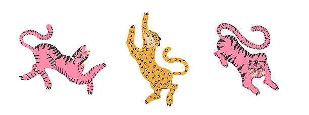 Funky comic leopard set with jungle animals and wildlife tiger. Children's book illustrations and educational materials