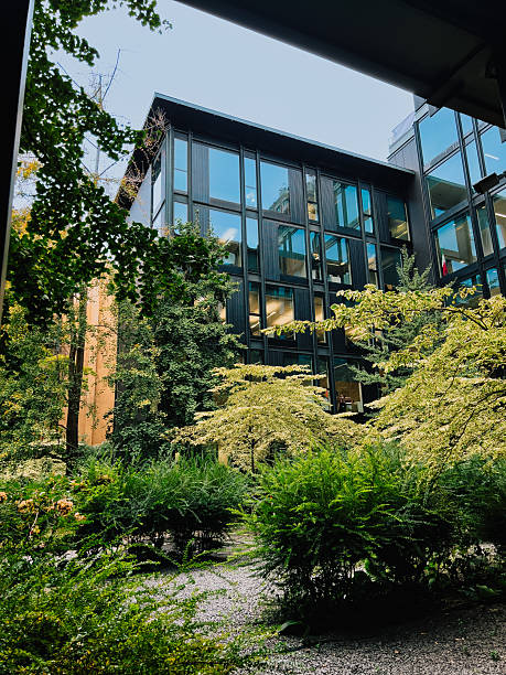 Lush greenery thrives in courtyard of modern office building, creating tranquil and sustainable work environment that fosters productivity and well being. Green landscape around office complex