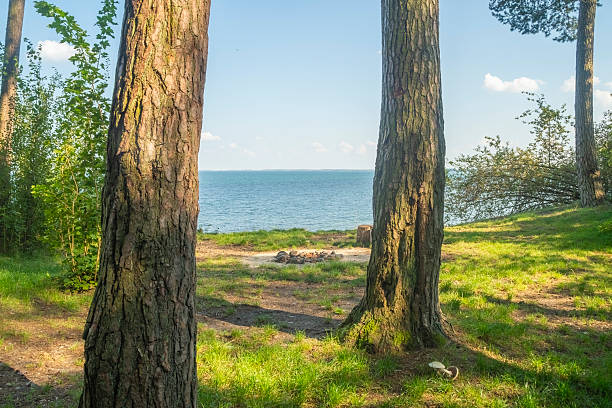 istock A place with an extinguished campfire on the seashore. A fire pit lined with sea pebbles. A campsite with old bonfire for tourists. 2247090898