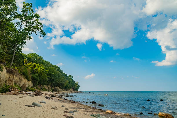 istock An empty sandy coastline in the wild. A beach with pine trees on a high bank. 2247090902