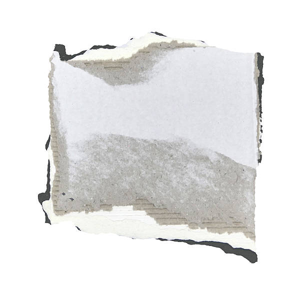 istock Brown and white corrugated kraft paper torn into pieces isolated on white background 2247093132