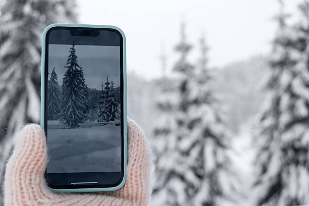 Hand in wool mitten holding smartphone capturing snowy winter landscape with pine trees. Digital connection with nature, cold weather travel concept