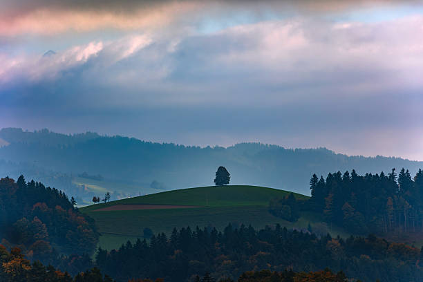 A lonely linde tree stands on a hill top under the colorful cloud sky in Swiss Emmental valley.