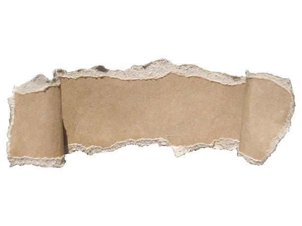 istock Horizontal segment light brown torn. Edges rough and jagged, with the surrounding material curled slightly inward on left and right sides giving three-dimensional rolled-back appearance 2247098332