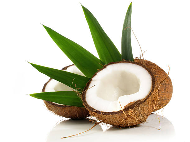 Coconut with Leaves on white Background