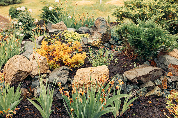 A decorative landscape featuring various plants and rocks. The scene includes green foliage, yellow flowers, and natural stones arranged artistically.