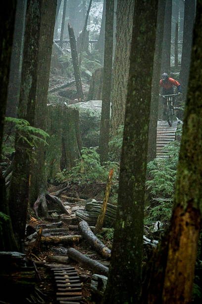 istock North shore in rainforest, North Vancouver 2247103447