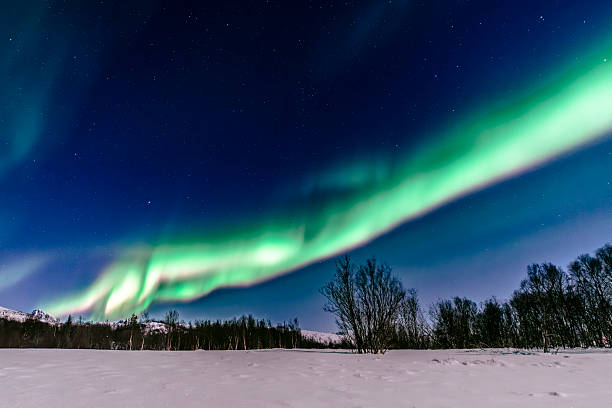 istock Aurora Northern Polar light in night sky over Northern Norway 2247103824