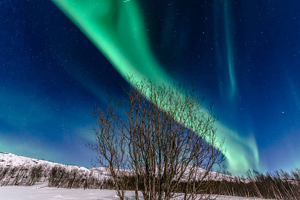 Northern Lights, polar light or Aurora Borealis in the night sky over Senja island in Northern Norway. Snow covered mountains in the background with water of the Norwegian Sea reflecting the lights in the foreground. Moonlight is illuminating the snow covered landscape.