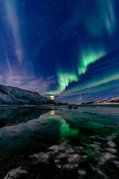 Northern Lights, polar light or Aurora Borealis in the night sky over Senja island in Northern Norway. Snow covered mountains in the background with water of the Norwegian Sea reflecting the lights in the foreground. Moonlight is illuminating the snow covered landscape.