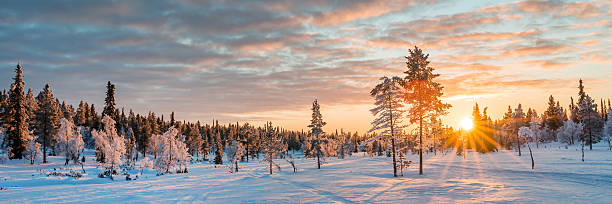 istock Panoramic snowy wintry landscape at sunset, frozen trees in winter in Saariselka, Lapland, Finland web banner 2247106034