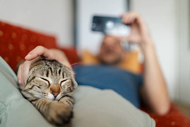 istock Relaxed Man with Cat in Living Room 2247107151