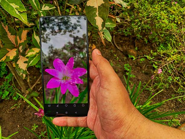 Nature captured through digital clarity