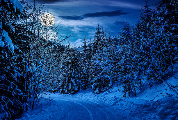 istock winter mountain landscape at night 2247110038