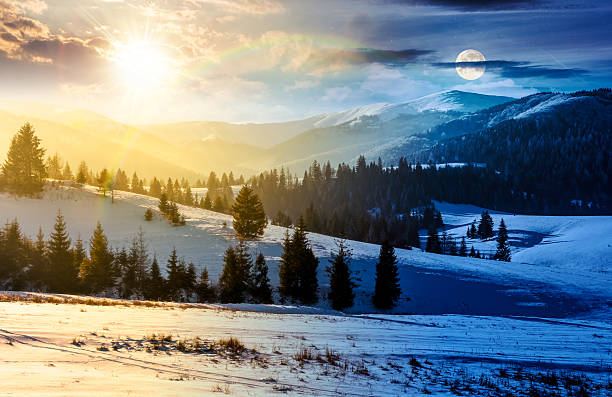 istock spruce forested hills of mountain ridge in winter 2247110047