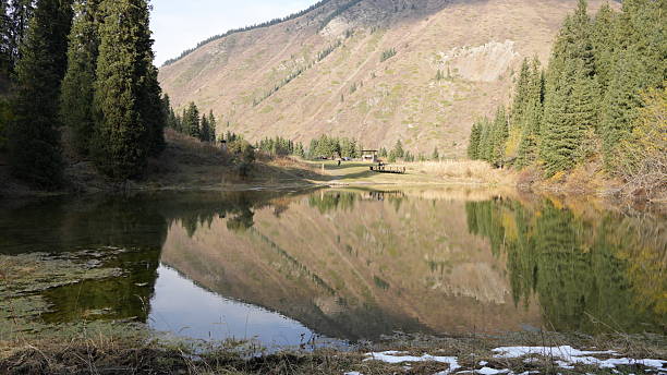 istock Serene landscape with mountain reflection in calm lake surrounded by trees 2247110982