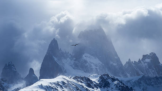 istock Andean condor flying over Patagonia 2247113985