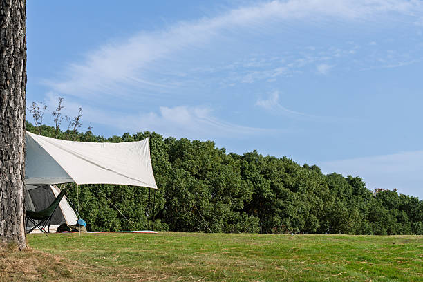 istock Green forests and camping canopies under the blue sky 2247116811