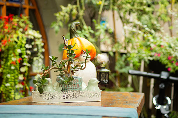 Beautiful arrangement of plants and wooden decor and ceramic decoration in a shop for outdoors and gardens