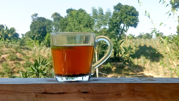 istock A scene of enjoying tea and nature together. 2247120240
